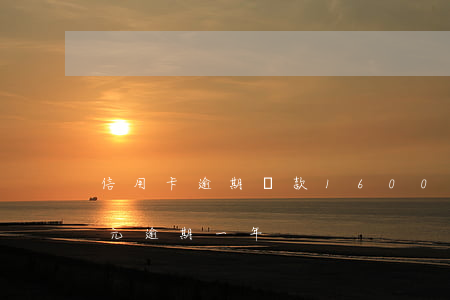 信用卡逾期還款1600元(信用卡4000元逾期一年)