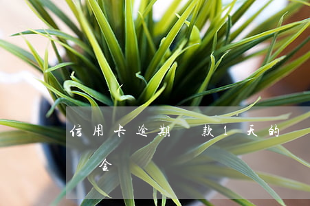 信用卡逾期還款1天的滯納金(逾期一天有滯納金嗎)
