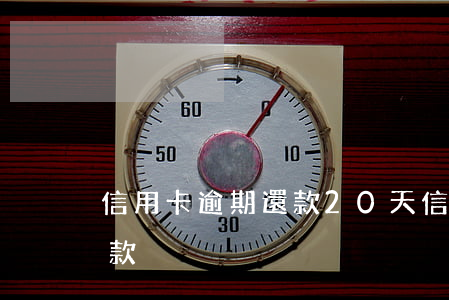 信用卡逾期還款20天(信用卡20天就要還款)