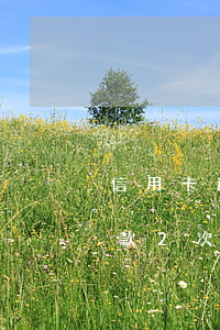 信用卡逾期還款2次影響房貸(信用卡逾期還款2次影響房貸嗎)