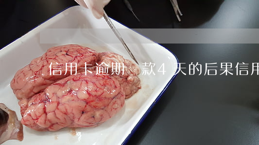信用卡逾期還款4天的后果(信用卡逾期4天)