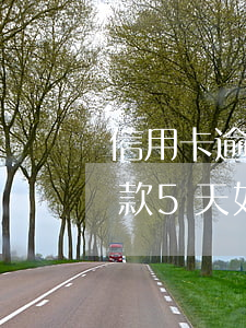 信用卡逾期還款5天如何收-信用卡逾期還款5天如何收費(fèi)