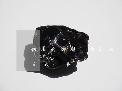 信用卡逾期還款5天礙事嗎(信用卡逾期還款5天礙事嗎)