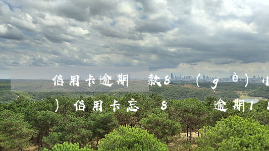 信用卡逾期還款8個(gè)小時(shí)(信用卡忘還8塊錢逾期18天)