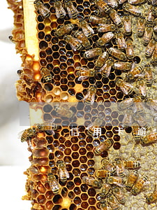 信用卡逾期還款90天收傳單
