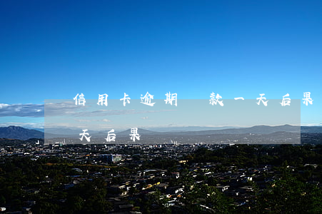 信用卡逾期還款一天后果(信用卡逾期還款一天后果)
