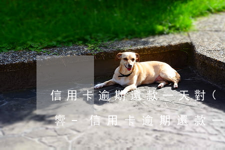 信用卡逾期還款一天對(duì)征信有影響-信用卡逾期還款一天對(duì)征信有影響嗎