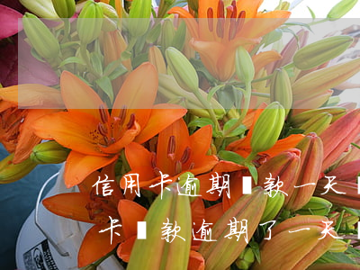信用卡逾期還款一天會(huì)怎樣(信用卡還款逾期了一天,會(huì)不會(huì)有利息)