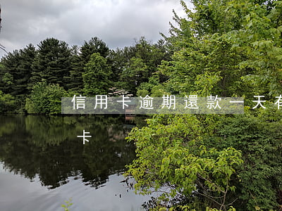 信用卡逾期還款一天有事嗎(超期一天還信用卡)