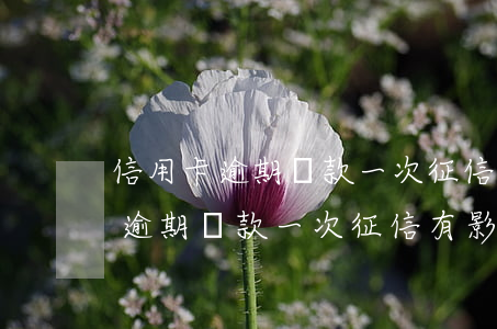 信用卡逾期還款一次征信有影響嗎-信用卡逾期還款一次征信有影響嗎知乎
