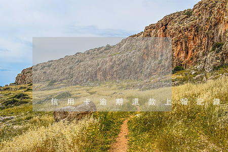 信用卡逾期還款上報記錄(信用卡 逾期記錄)