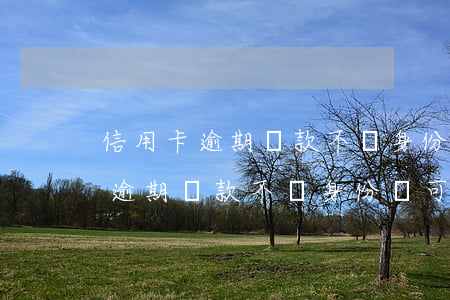 信用卡逾期還款不帶身份證可以嗎-信用卡逾期還款不帶身份證可以嗎怎么辦