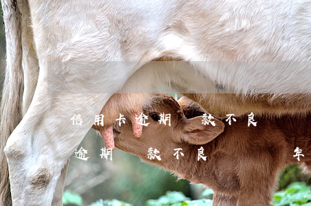 信用卡逾期還款不良記錄幾年消除-信用卡逾期還款不良記錄幾年消除一次