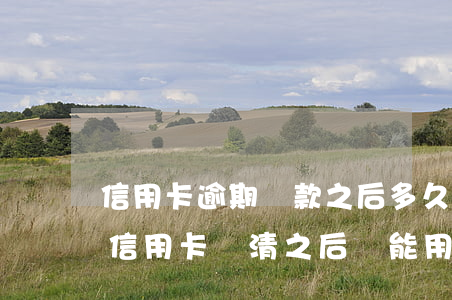 信用卡逾期還款之后多久可以解(逾期很久的信用卡還清之后還能用嗎)