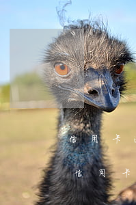 信用卡逾期還款之后征信怎么查(征信怎么看信用卡逾期)