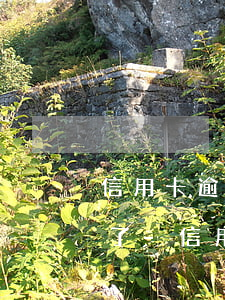 信用卡逾期還款之后怎么給凍結(jié)了-信用卡逾期還款之后怎么給凍結(jié)了呢