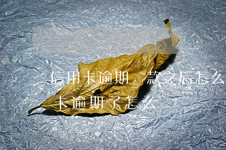 信用卡逾期還款之后怎么辦(所有的貸款信用卡逾期了怎么辦)