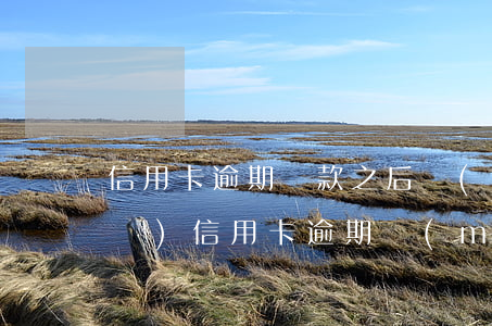 信用卡逾期還款之后買(mǎi)車(chē)(信用卡逾期沒(méi)還,我全款買(mǎi)車(chē)銀行會(huì)知道嗎)
