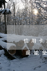 信用卡逾期還款之后還能再用嗎(逾期還清后還能使用信用卡嗎)