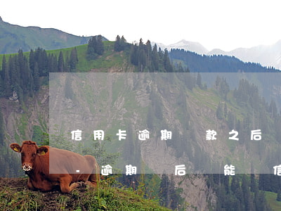 信用卡逾期還款之后還能繼續(xù)用嗎-逾期過后還能辦信用卡