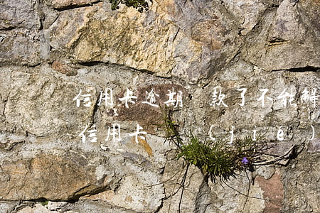 信用卡逾期還款了不能解凍(銀行貸款逾期后信用卡凍結(jié)了怎么辦)