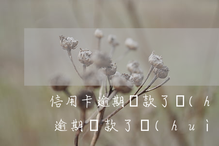 信用卡逾期還款了會(huì)怎樣(信用卡逾期還款了會(huì)怎樣)