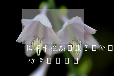 信用卡逾期還款了會解凍么(信用卡逾期了銀行卡會凍結嗎)