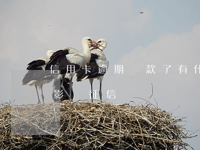 信用卡逾期還款了有什么影響(逾期還信用卡影響征信嗎)