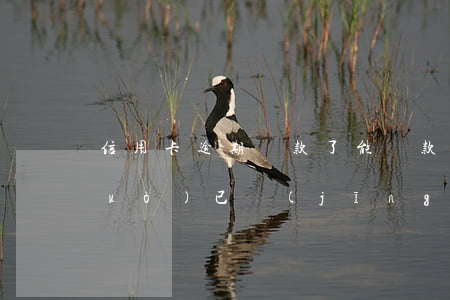 信用卡逾期還款了能貸款嗎(貸款逾期過(guò),已經(jīng)還清了多久可以信用卡)