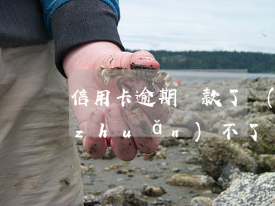 信用卡逾期還款了轉(zhuǎn)賬轉(zhuǎn)不了(轉(zhuǎn)賬到信用卡能還款嗎)