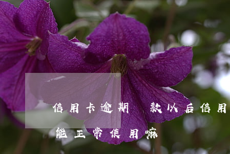 信用卡逾期還款以后(信用卡逾期還款以后還能正常使用嘛)