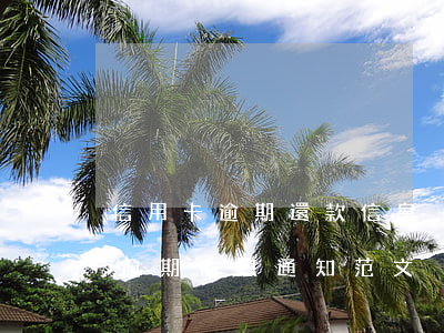 信用卡逾期還款信息內(nèi)容(信用卡逾期信息通知范文)