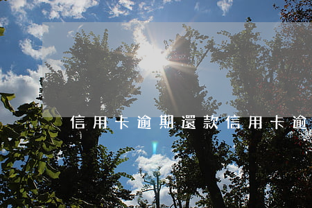 信用卡 逾期還款（信用卡逾期還款坐牢嗎）