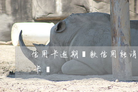 信用卡逾期還款信用能消不(逾期還能用信用卡嗎)