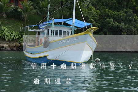 信用卡逾期還款信譽(yù)(什么叫信用卡逾期還款)