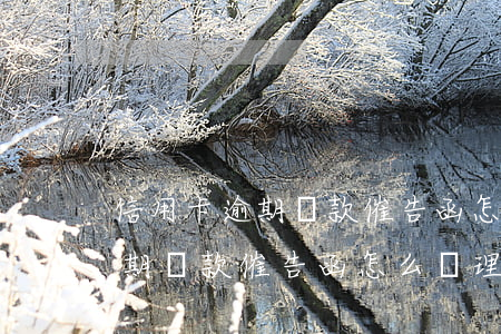 信用卡逾期還款催告函怎么處理-信用卡逾期還款催告函怎么處理的