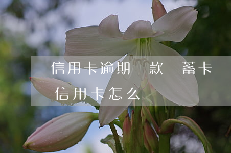 信用卡逾期還款儲蓄卡掛失(還款還到掛失的信用卡怎么辦)