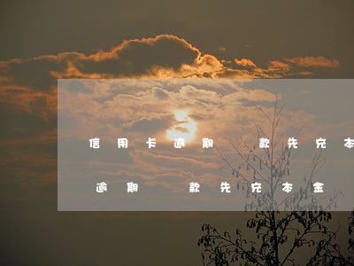 信用卡逾期還款先充本金還是利息-信用卡逾期還款先充本金還是利息呢
