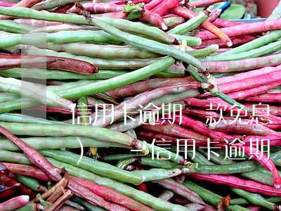 信用卡逾期還款免息還款多久銷(xiāo)賬-信用卡逾期還款免息還款多久銷(xiāo)賬啊