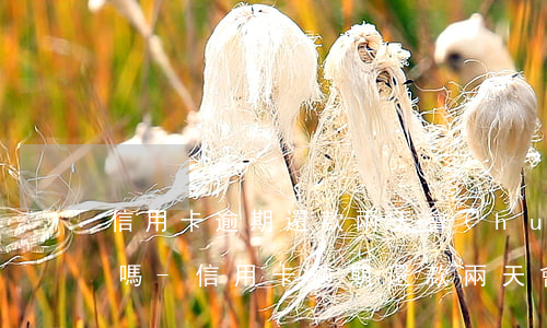 信用卡逾期還款兩天會(huì)影響信用嗎?-信用卡逾期還款兩天會(huì)影響信用嗎