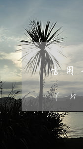 信用卡逾期還款利息太高了(還信用卡逾期會(huì)有什么后果)