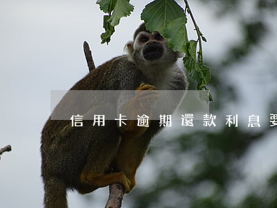 信用卡逾期還款利息要還嗎