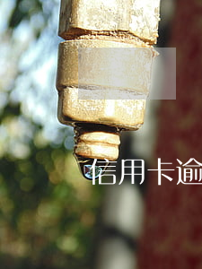 信用卡逾期還款利息高嗎