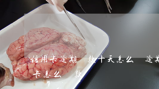 信用卡逾期還款十天怎么辦(逾期很久的信用卡怎么還款)