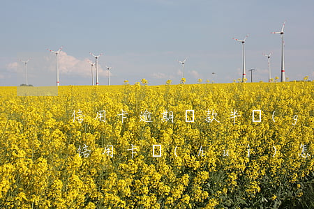 信用卡逾期還款半個(gè)月(逾期半月還信用卡會(huì)怎樣)