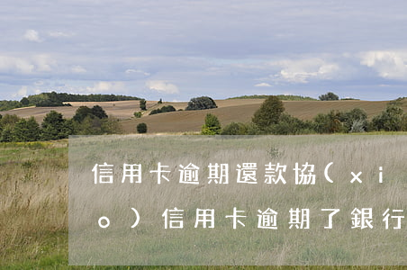 信用卡逾期還款協(xié)商指導(dǎo)(信用卡逾期了銀行不同意協(xié)商還款怎么辦)
