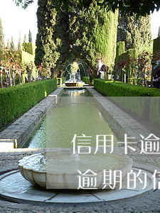 信用卡逾期還款協(xié)商能減免(沒有逾期的信用卡可以協(xié)商還款嗎)