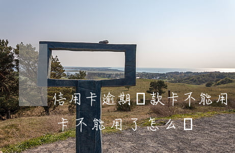 信用卡逾期還款卡不能用了(信用卡逾期還款卡不能用了怎么辦)