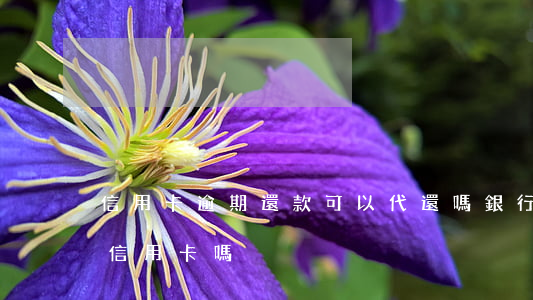 信用卡逾期還款可以代還嗎(銀行卡可以代還信用卡嗎)