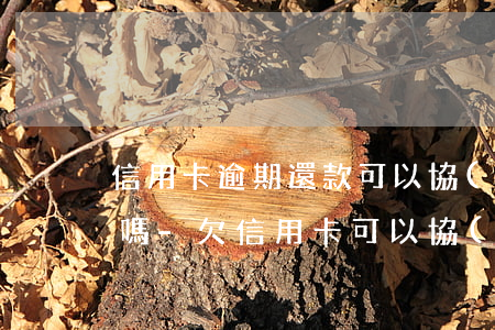 信用卡逾期還款可以協(xié)商免利息嗎-欠信用卡可以協(xié)商還款嗎